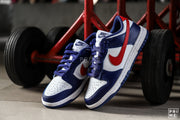 Nike Dunk Low W USA DD1503 119